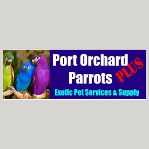 poparrots brand logo for poparrots.com