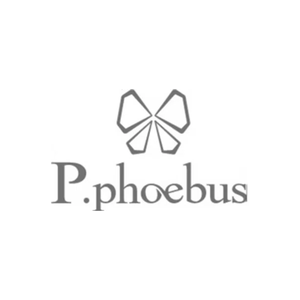 pphoebusjewellry brand logo for pphoebusjewellry.com