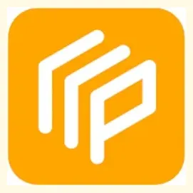 practicus brand logo for practicus.ai