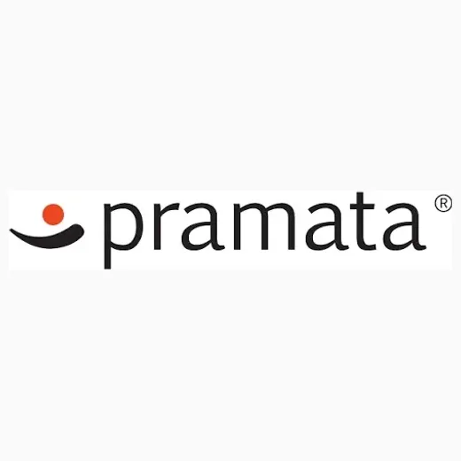 pramata brand logo for pramata.com
