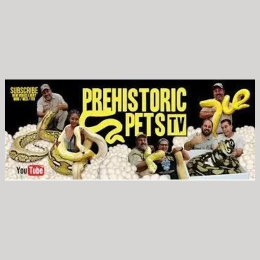 prehistoricpets brand logo for prehistoricpets.com