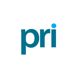 pridigital brand logo for pridigital.com