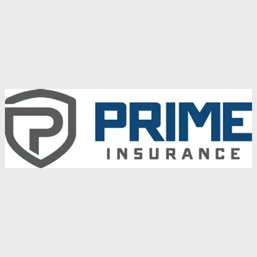 primeins brand logo for primeins.com