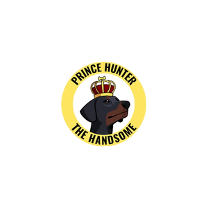 princehunterthehandsome brand logo for princehunterthehandsome.com