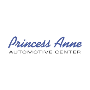 princessanneauto brand logo for princessanneauto.com