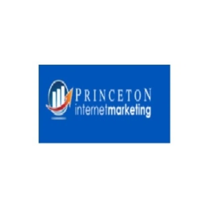 princetoninternetmarketing brand logo for princetoninternetmarketing.com