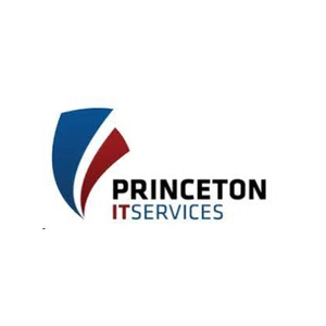 princetonits brand logo for princetonits.com