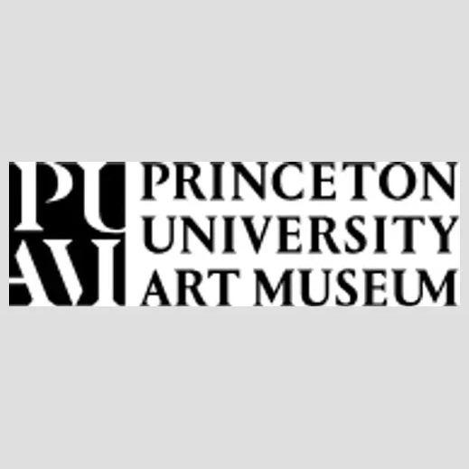 princetonmuseumstore brand logo for princetonmuseumstore.org