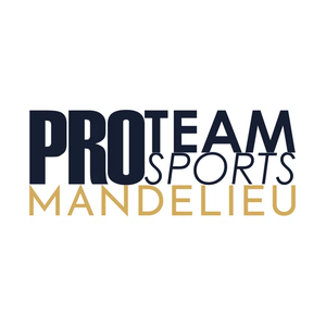 pro-teamsports brand logo for pro-teamsports.com