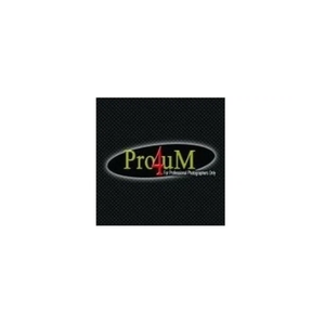 pro4um brand logo for pro4um.com