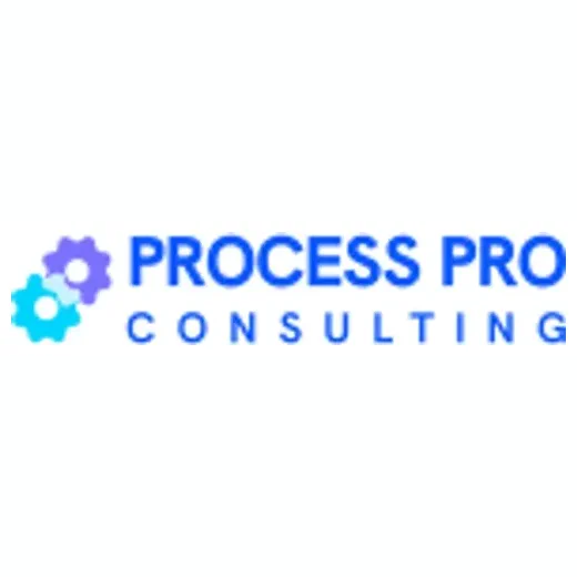 processproconsulting brand logo for processproconsulting.com