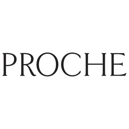 prochestudio brand logo for prochestudio.com