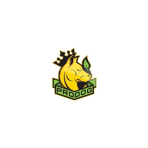 ProDog Raw brand logo for prodograw.com