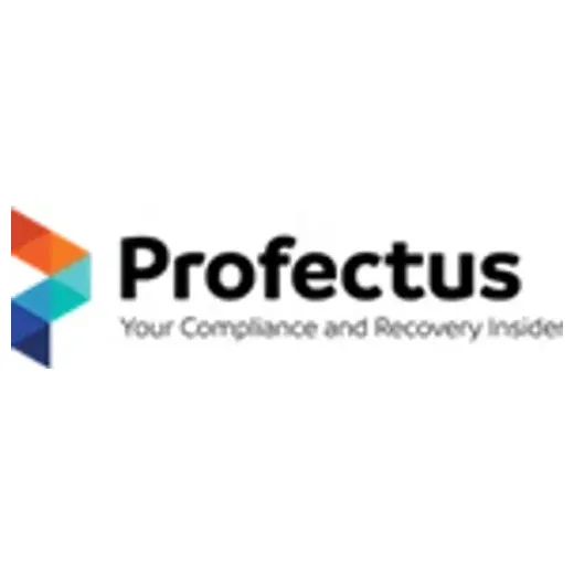 profectusgroup brand logo for profectusgroup.com