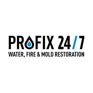 profix247 brand logo for profix247.com