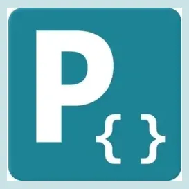 programino brand logo for programino.com
