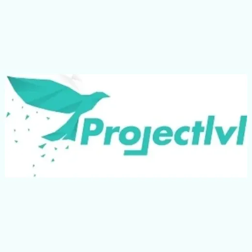 projectlvl brand logo for projectlvl.com