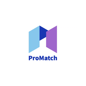 promatch brand logo for promatch.ai