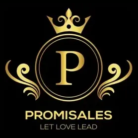 promisales brand logo for promisales.com