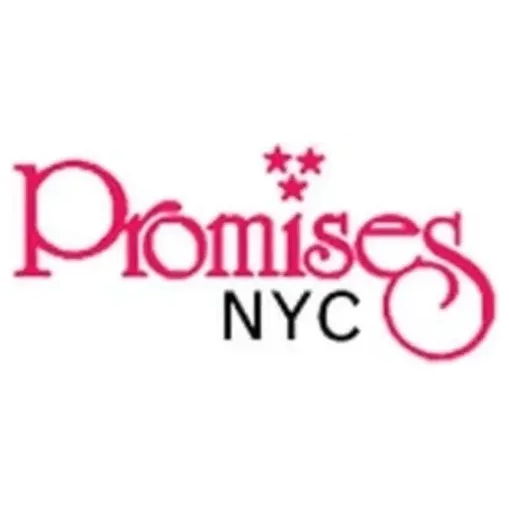 promisesnyc brand logo for promisesnyc.com