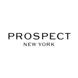 prospectny brand logo for prospectny.com