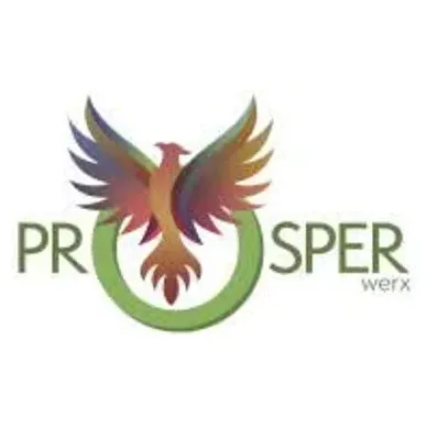 prosperwerx brand logo for prosperwerx.com