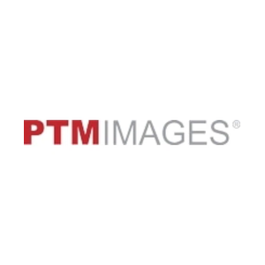 ptmimages brand logo for ptmimages.com