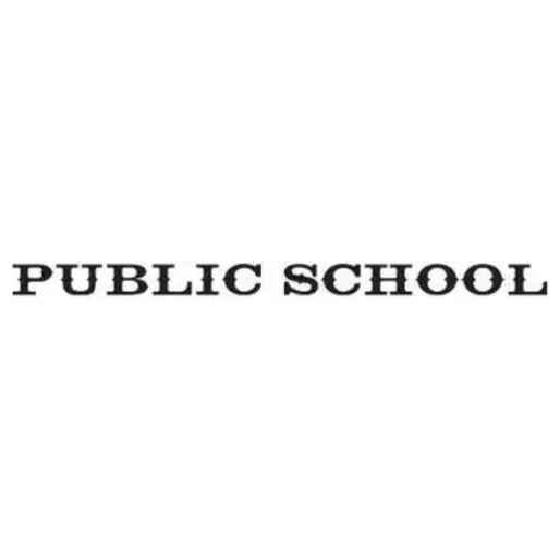 publicschoolnyc brand logo for publicschoolnyc.com