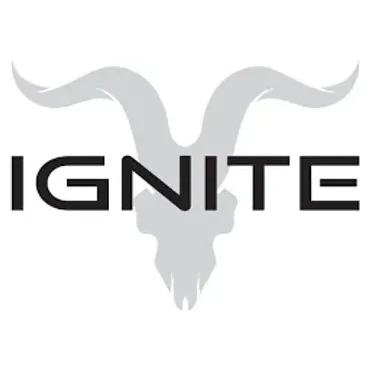 puffignite brand logo for puffignite.co