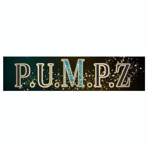 Company brand logo for pumpzllc.company.site