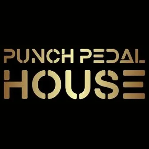 punch-pedal brand logo for punch-pedal.com