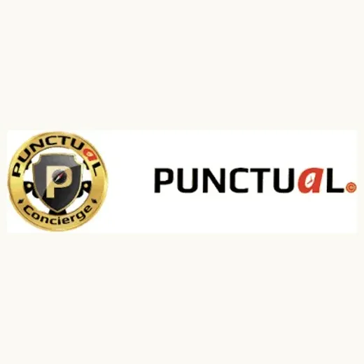 punctualexpress brand logo for punctualexpress.com