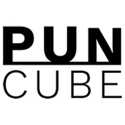 PUNCUBE brand logo for puncube.com