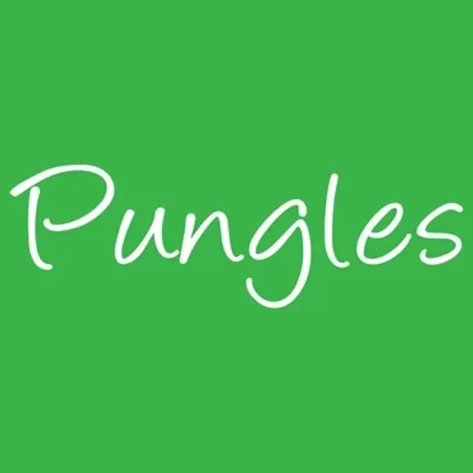 pungles brand logo for pungles.com