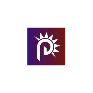 punk brand logo for punk.domains