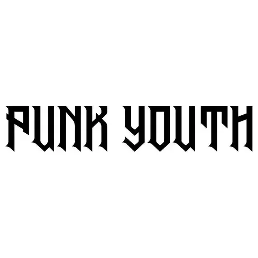 punkyouth brand logo for punkyouth.com