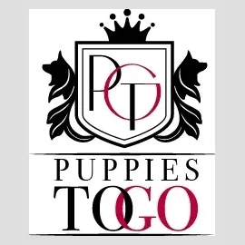 puppiestogoinc brand logo for puppiestogoinc.com