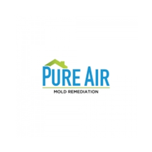 pureairsolutionsky brand logo for pureairsolutionsky.com