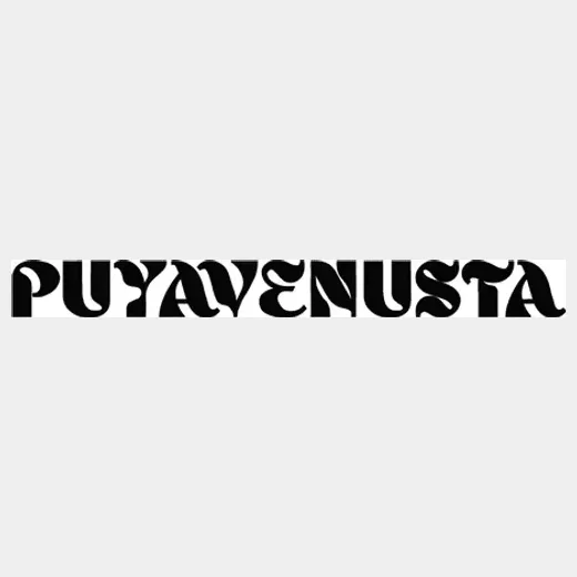 puyavenusta brand logo for puyavenusta.com