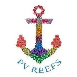 pvreefs brand logo for pvreefs.com