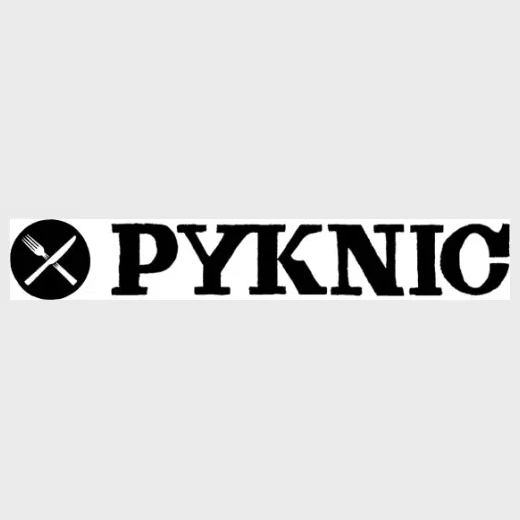 pyknic brand logo for pyknic.com