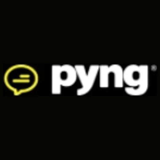 pyng brand logo for pyng.me