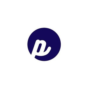 pynths brand logo for pynths.com