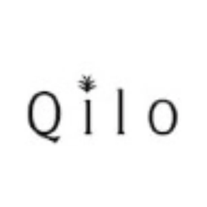 qilonyc brand logo for qilonyc.com
