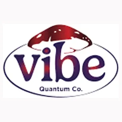 quantumvibeco brand logo for quantumvibeco.com