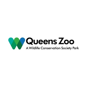queenszoo brand logo for queenszoo.com
