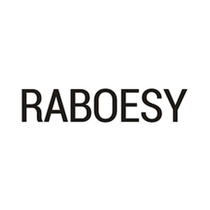 RABOESY brand logo for raboesy.com