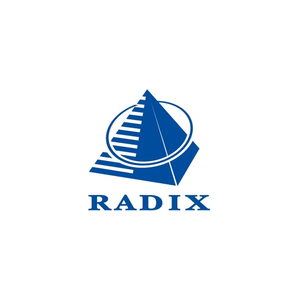 radixweb brand logo for radixweb.com