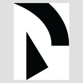 raiden brand logo for raiden.network