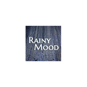 rainymood brand logo for rainymood.com